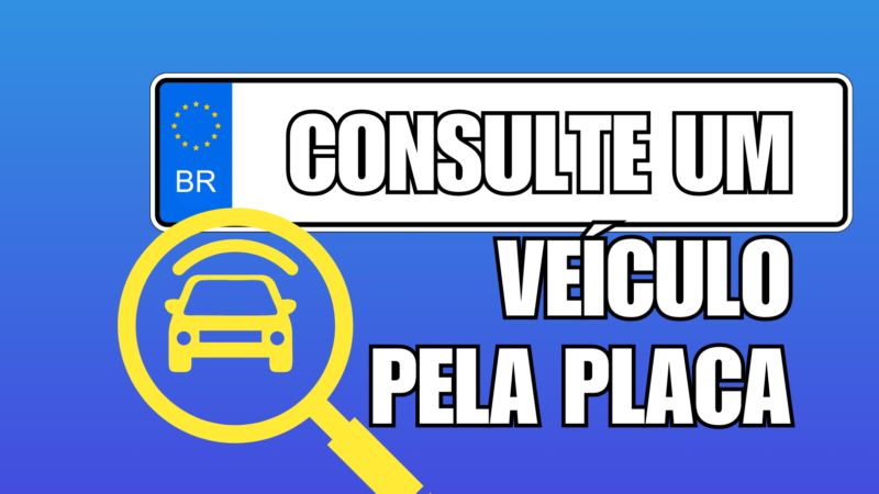 Passo A Passo Para Consultar O Veículo Pela Placa